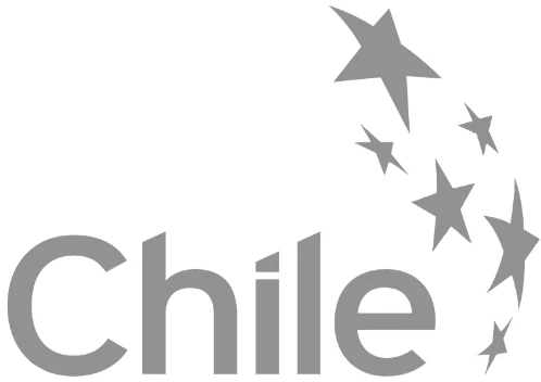 Agencia de Casting Digital de Actores Modelos Artistas Creadores de Contenido en Santiago de Chile logo